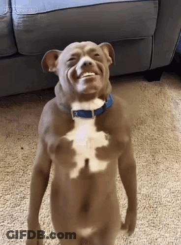 Dog With Blue Collar Smiling GIF