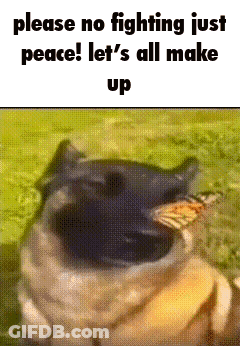 Dog With Butterfly Says Please No Fighting Just Peace GIF