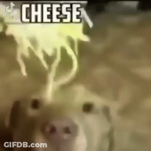 Dog With Cheese Out Of Nose GIF