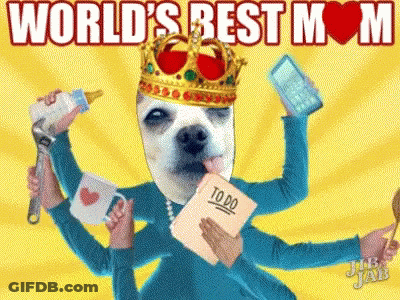 Dog With Crown Holding To-Do List GIF