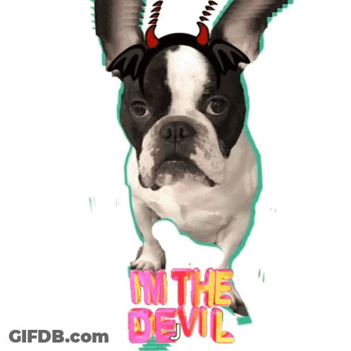 Dog With Devil Horns Saying I'm The Devil GIF