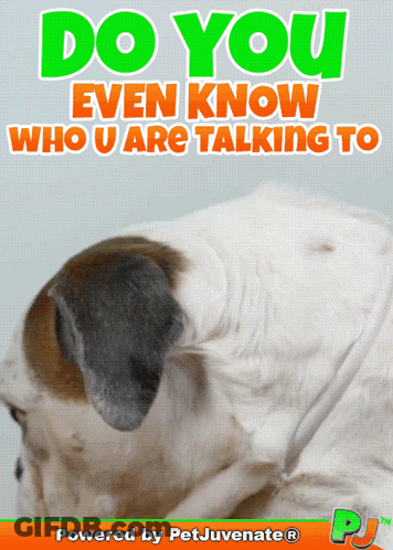 Dog With Do You Know Who You're Talking To GIF