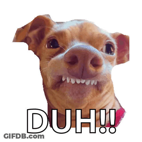 Dog With Duh Text GIF