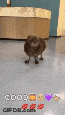 Dog With Emojis Saying Good GIF