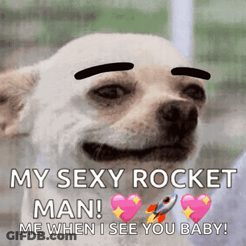 Dog With Eyebrows Saying My Sexy Rocket Man GIF