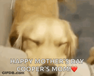 Dog With Eyes Closed Happy Mother's Day Cooper's Mom GIF
