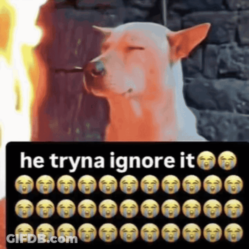 Dog With Eyes Closed He Tryna Ignore It GIF