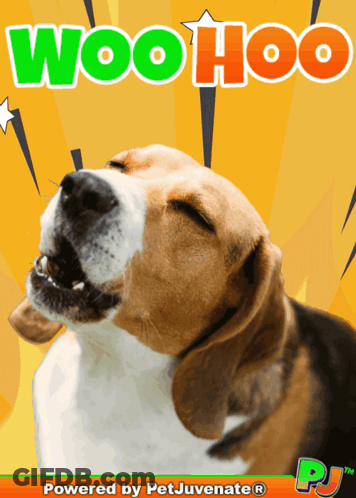 Dog With Eyes Closed Woo Hoo Poster GIF