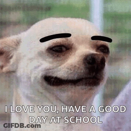 Dog With Fake Eyebrows Says I Love You GIF