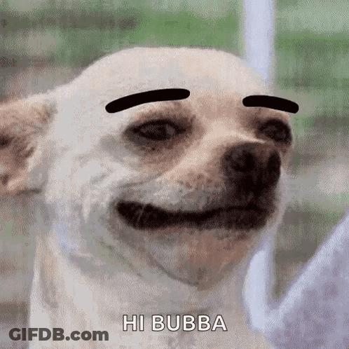 Dog With Fake Eyebrows Smiling Saying Hi Bubba GIF