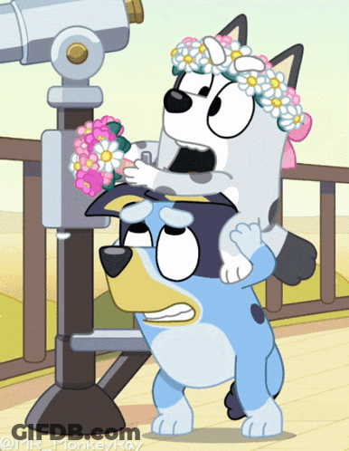 Dog With Flower Crown Looking Through Telescope GIF