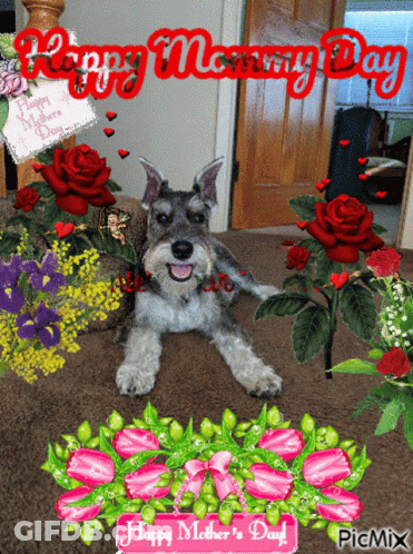 Dog With Flowers Happy Mothers Day GIF