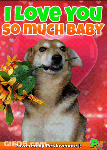Dog With Flowers In Mouth I Love You GIF