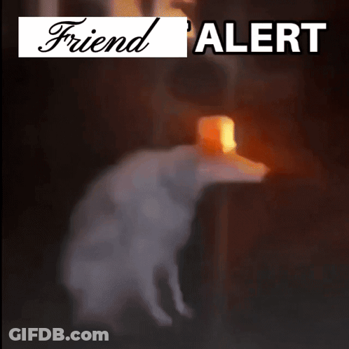 Dog With Friend Alert Text GIF