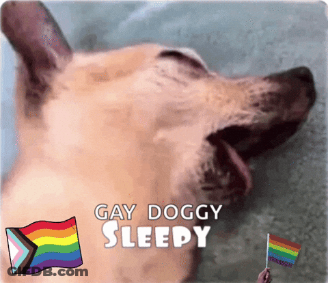 Dog With Gay Doggy Sleepy GIF