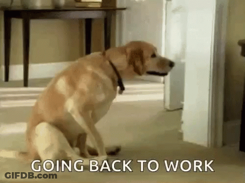 Dog With Going Back To Work Text GIF