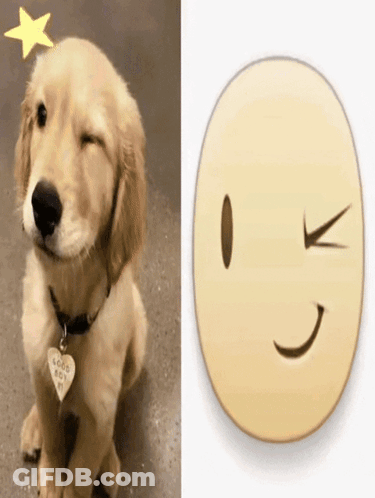 Dog With Good Boy Tag Next To Smiley Face GIF