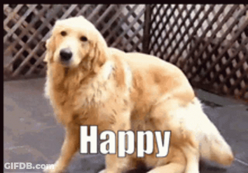 Dog With Happy Text GIF