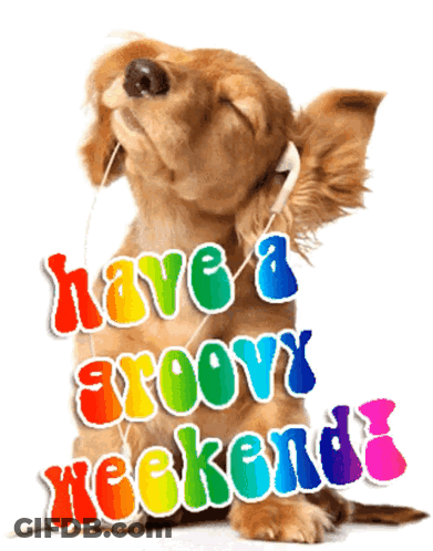 Dog With Headphones Saying Have A Groovy Weekend GIF