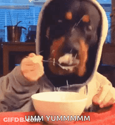 Dog With Hood Eating Cereal From Bowl GIF