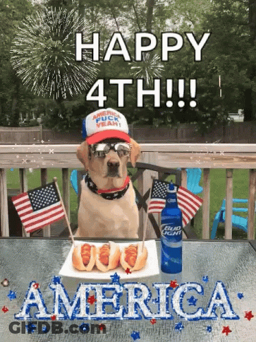 Dog With Hot Dogs And Bud Light GIF