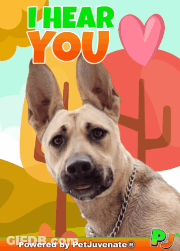 Dog With I Hear You GIF