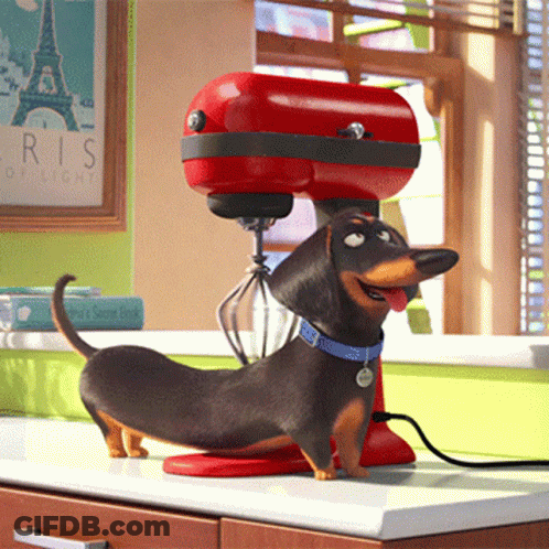 Dog With Ice Cream Sticker GIF