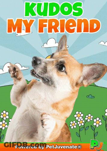 Dog With Kudos My Friend GIF