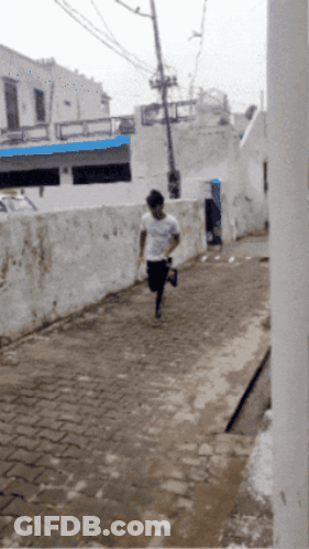 Dog With Large Ears Close Up GIF