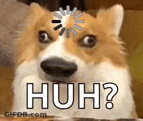 Dog With Loading Circle Saying Huh GIF