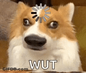 Dog With Loading Wheel Saying Wut GIF