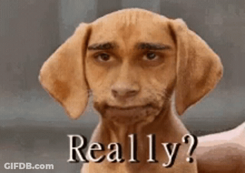 Dog With Man Face Saying Really GIF