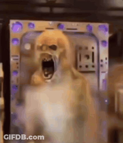 Dog With Mouth Open In Microwave GIF
