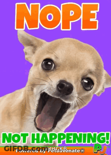 Dog With Mouth Open Nope Not Happening GIF