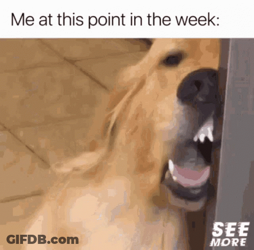 Dog With Mouth Open Saying Me At This Point In The Week GIF