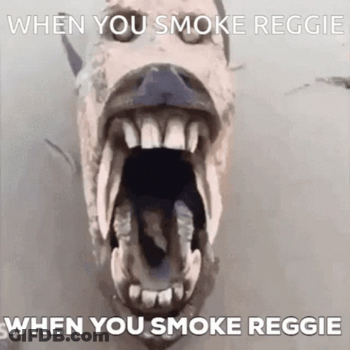 Dog With Mouth Open When You Smoke Reggie GIF