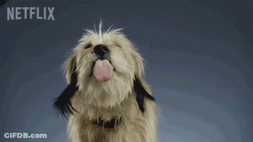Dog With Netflix Logo On Bottom Right GIF