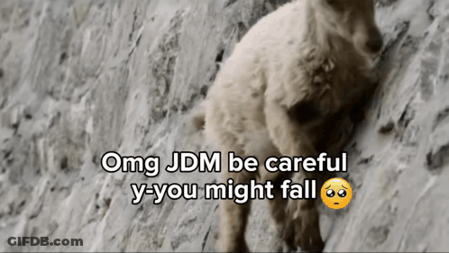 Dog With OMG JDM Be Careful Caption GIF