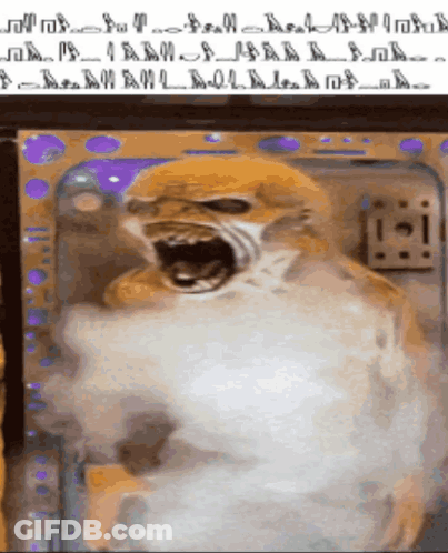 Dog With Open Mouth And Purple Background GIF