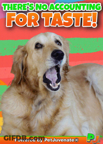 Dog With Open Mouth No Accounting For Taste GIF