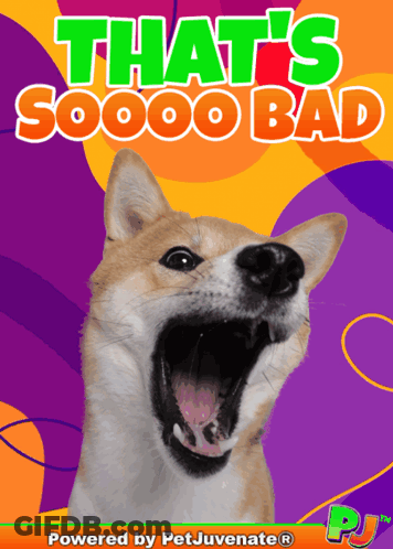 Dog With Open Mouth Saying So Bad GIF