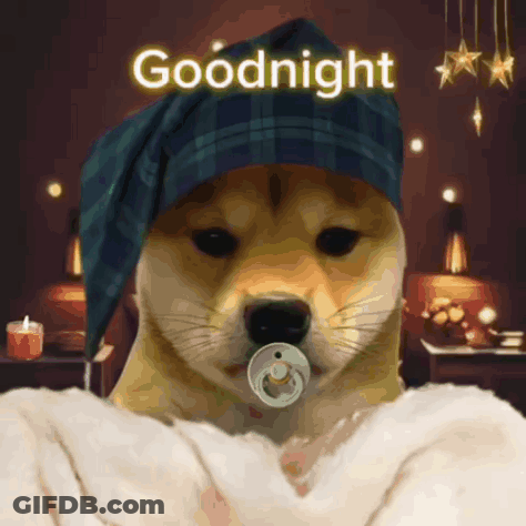 Dog With Pacifier And Hat Saying Goodnight GIF