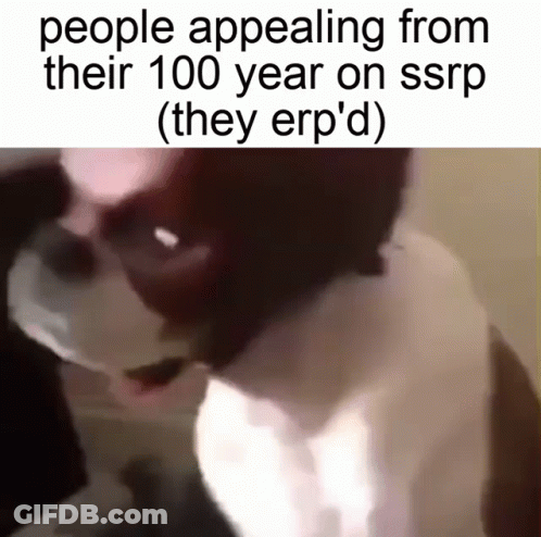 Dog With People Appealing From Their 100 Year On SSRP Caption GIF