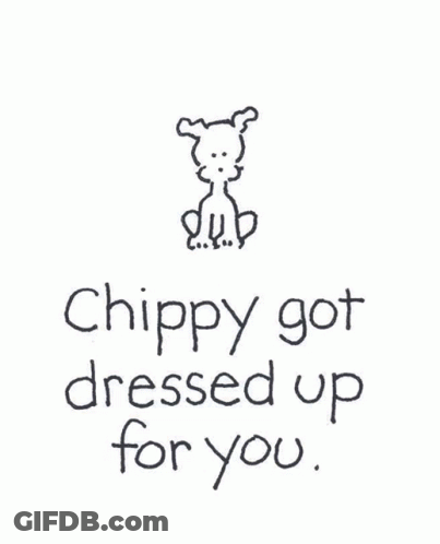 Dog With Pink Bow Chippy Got Dressed Up For You GIF