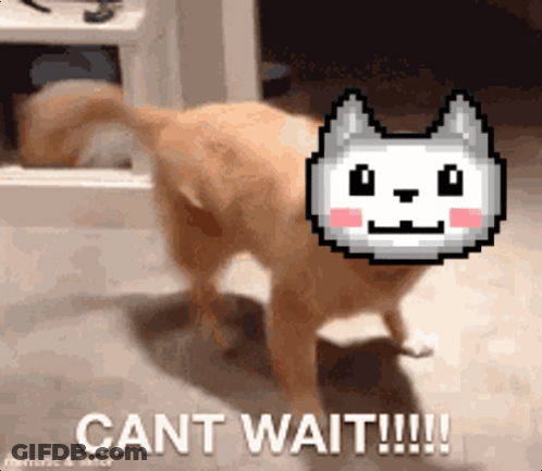 Dog With Pixelated Cat On Head Saying Cant Wait GIF