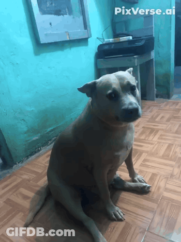 Dog With Pixverse.ai GIF