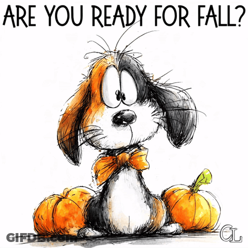 Dog With Pumpkins Are You Ready For Fall GIF