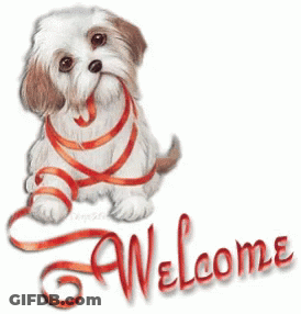 Dog With Red Ribbon Welcome GIF