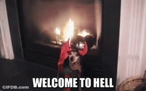 Dog With Red Scarf On Head By Fireplace GIF