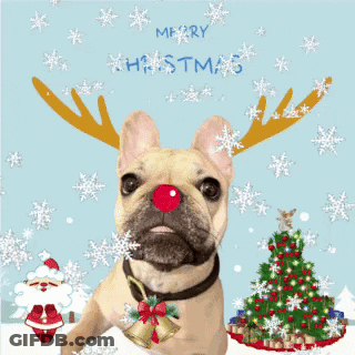 Dog With Reindeer Antlers And Red Nose GIF